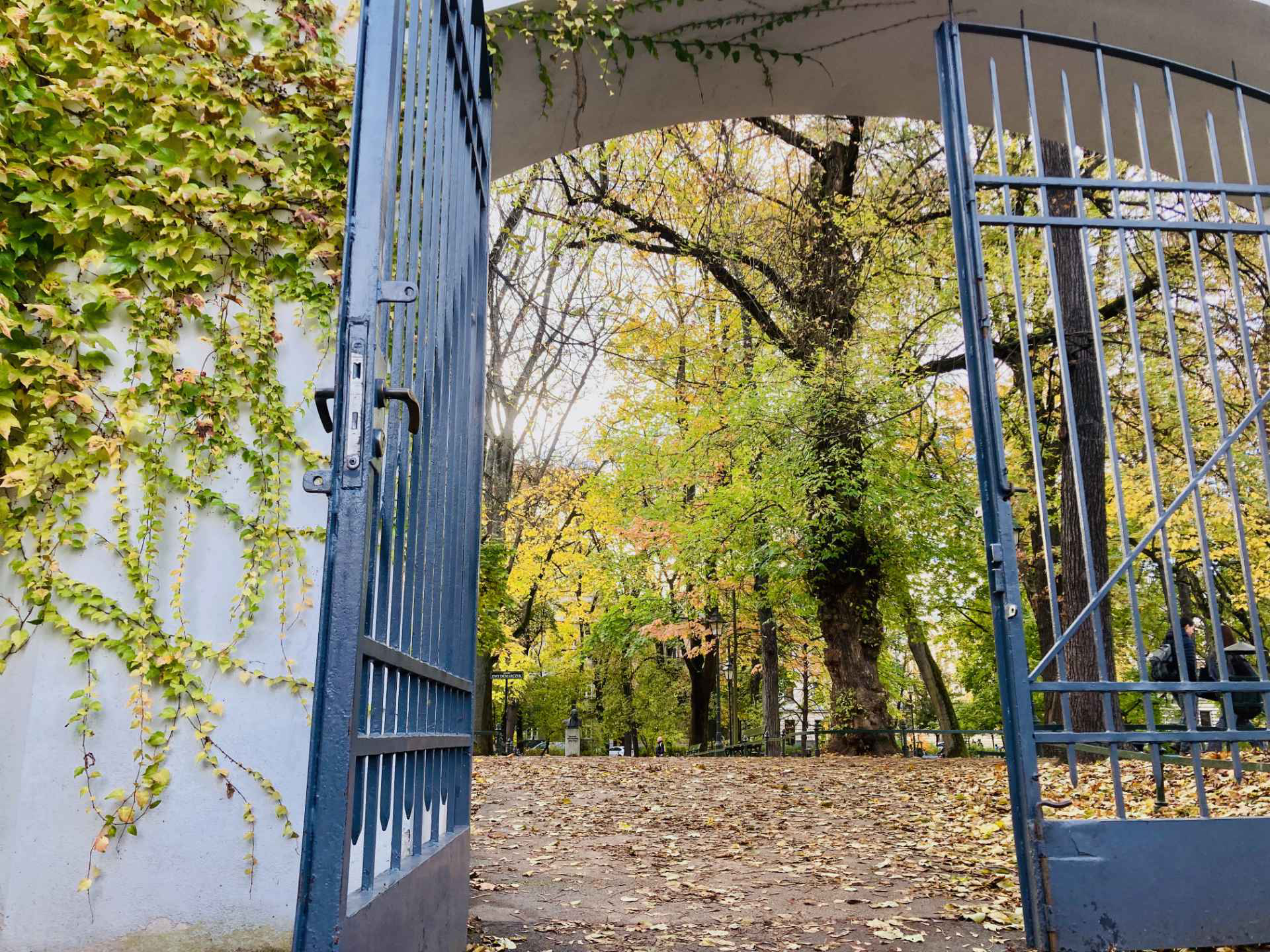 Kraków z dziećmi co robić w 2026