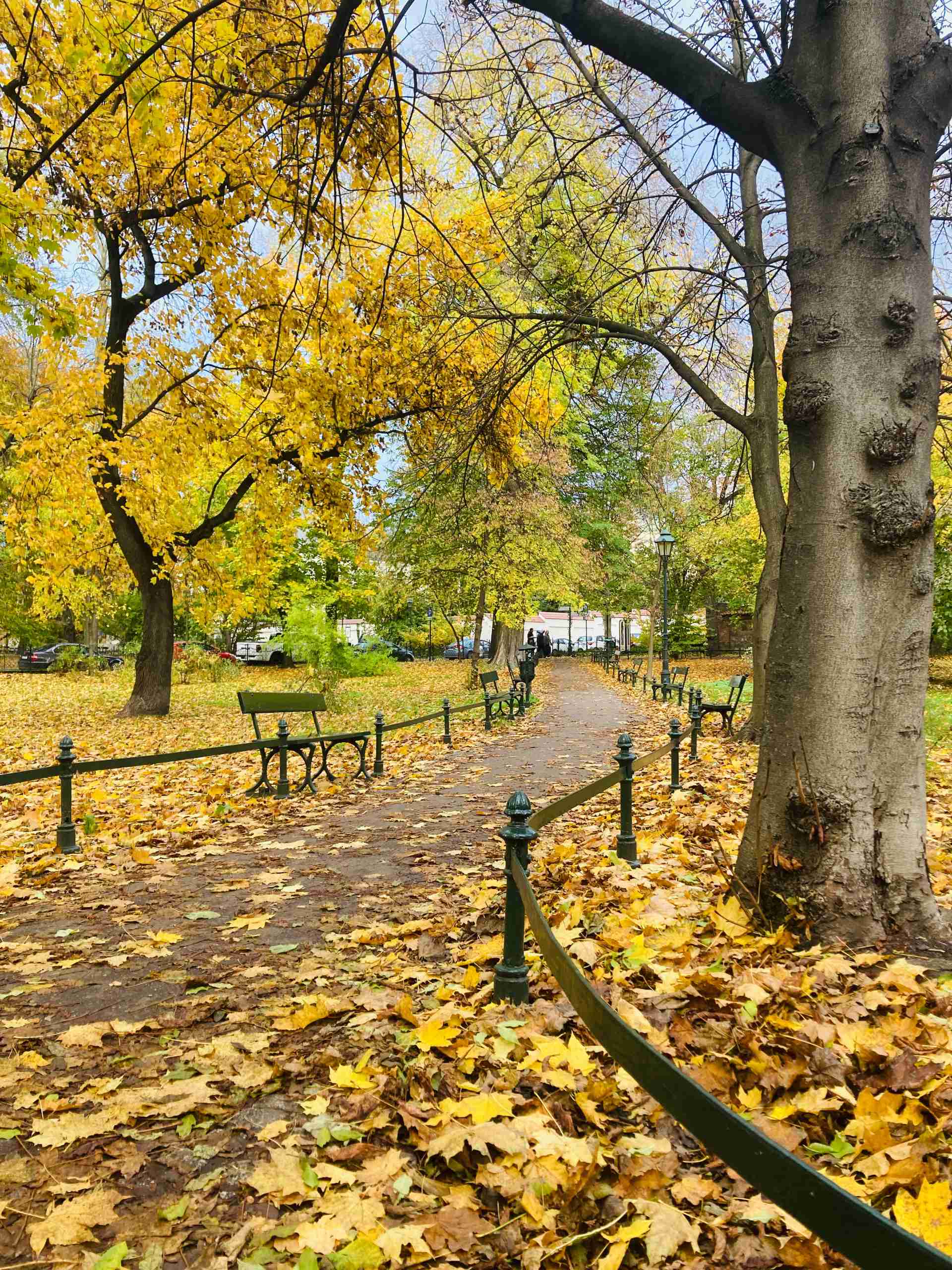 Planty Kraków — spacer z dziećmi